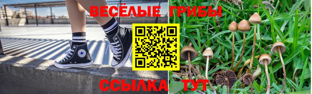 Минусинск  Галлюциногенные грибы Cubensis  Галлюциногенные грибы ЛСД  Вход с VPN 