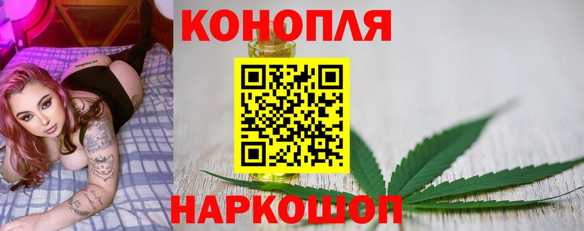Бошки Шишки план Минусинск